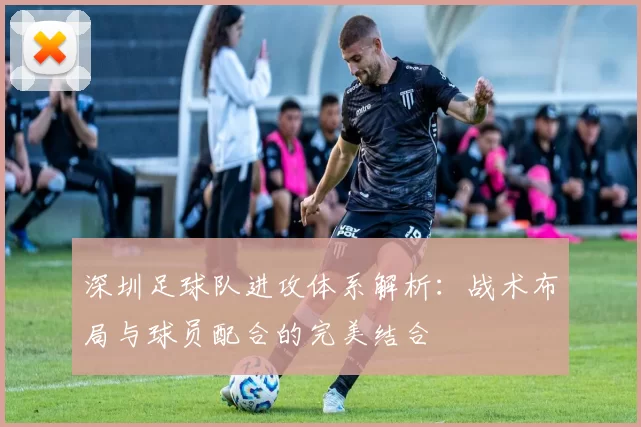 深圳足球队进攻体系解析：战术布局与球员配合的完美结合