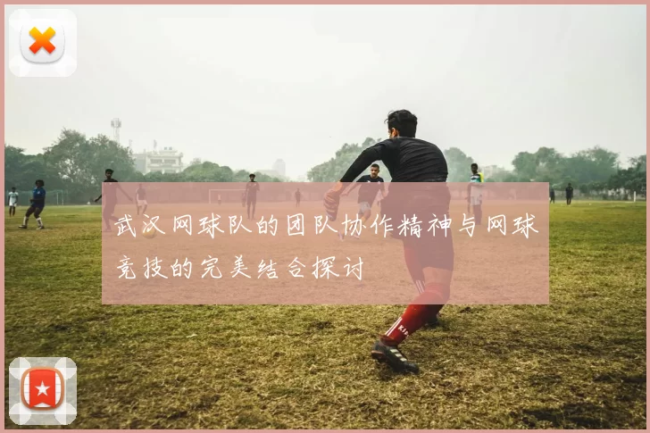 武汉网球队的团队协作精神与网球竞技的完美结合探讨