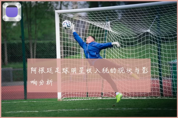 阿根廷足球明星收入税的现状与影响分析