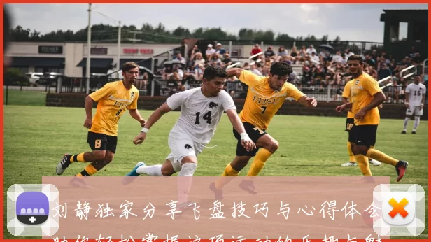 刘静独家分享飞盘技巧与心得体会助你轻松掌握这项运动的乐趣与魅力