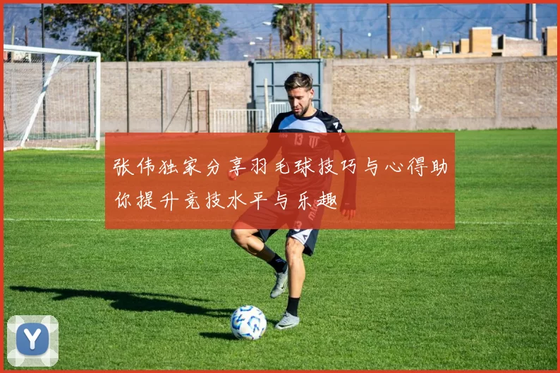 张伟独家分享羽毛球技巧与心得助你提升竞技水平与乐趣
