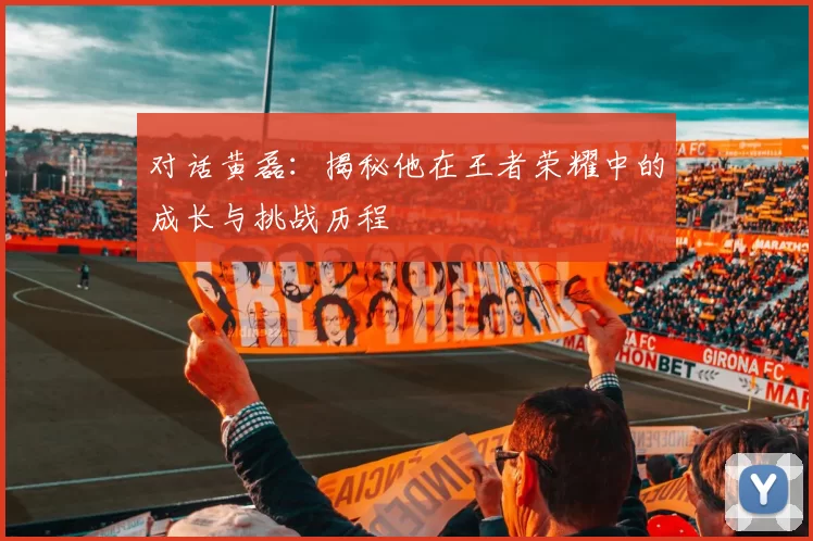 对话黄磊：揭秘他在王者荣耀中的成长与挑战历程