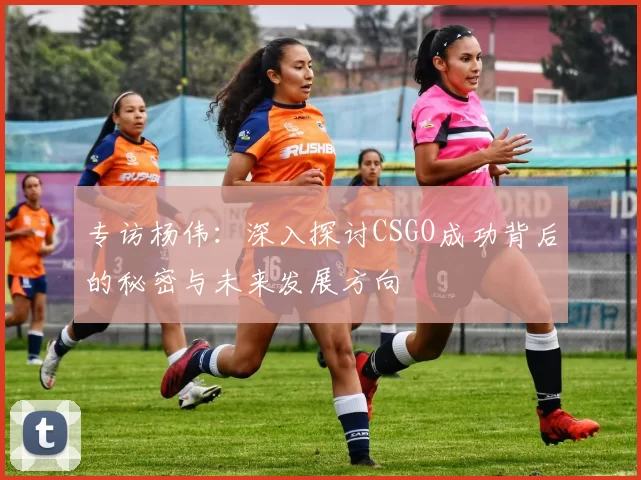 专访杨伟：深入探讨CSGO成功背后的秘密与未来发展方向