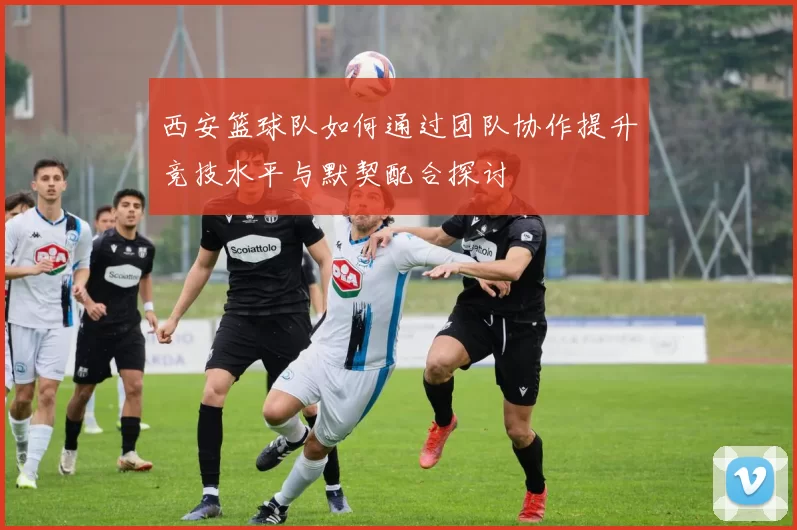 西安篮球队如何通过团队协作提升竞技水平与默契配合探讨