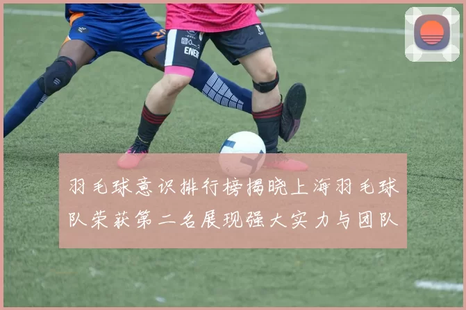 羽毛球意识排行榜揭晓上海羽毛球队荣获第二名展现强大实力与团队合作