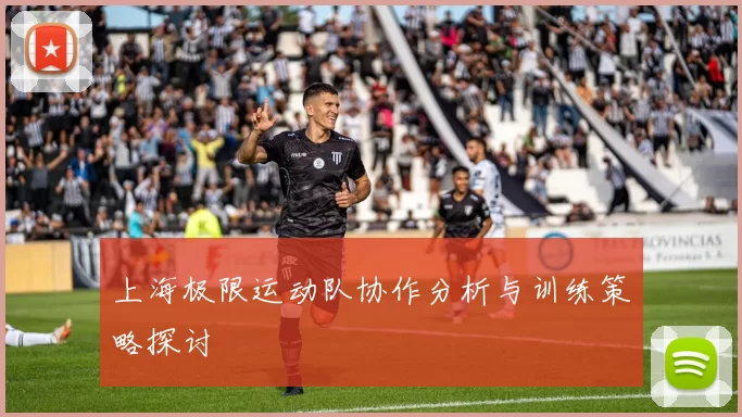 上海极限运动队协作分析与训练策略探讨