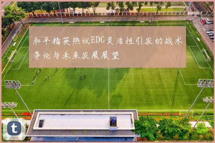 和平精英热议EDG灵活性引发的战术争论与未来发展展望