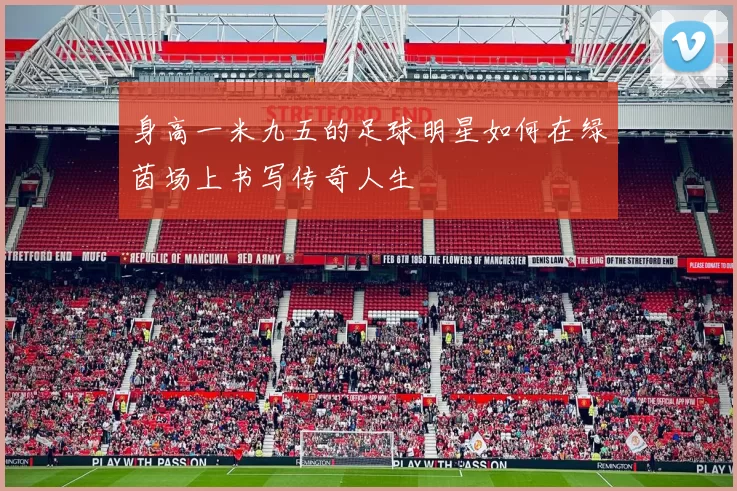 身高一米九五的足球明星如何在绿茵场上书写传奇人生