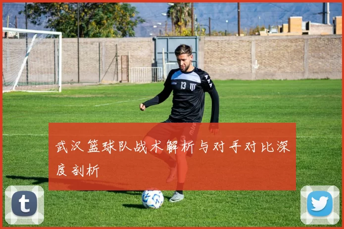 武汉篮球队战术解析与对手对比深度剖析